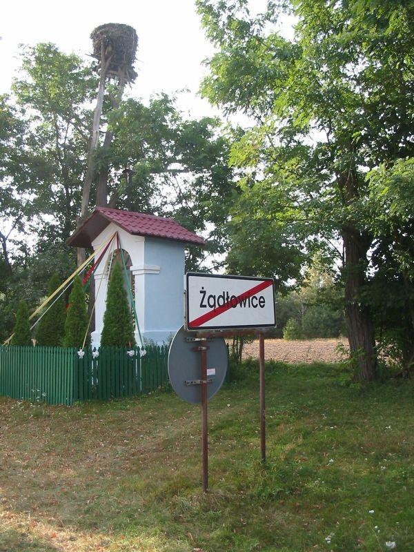 chciał nie chciał, musiał odlecieć