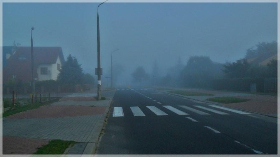 Poranne mgły