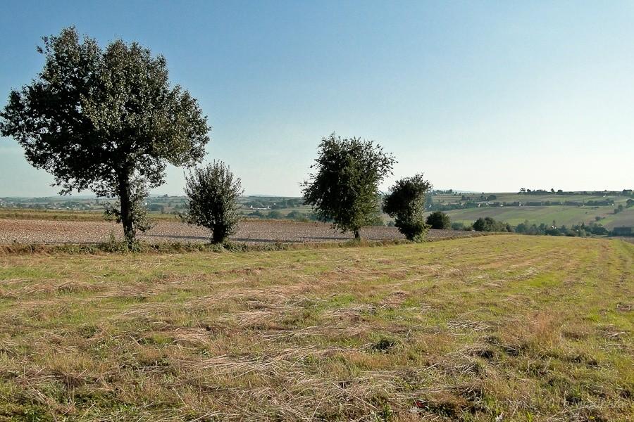 przestrzeń i wiatr