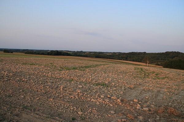 Wysuszone pola