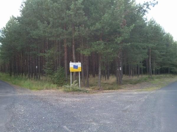 Skrzyżowanie czerwonego i zielonego szlaku