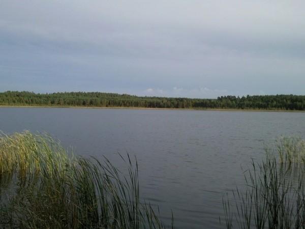 Jezioro Piaski