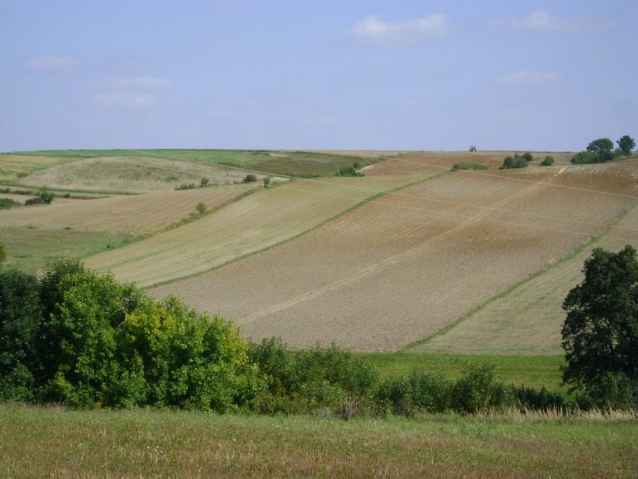 Piękne wzgórza pod Kraśnikiem