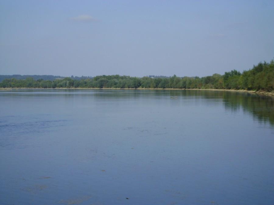Wisła w Zawichoście
