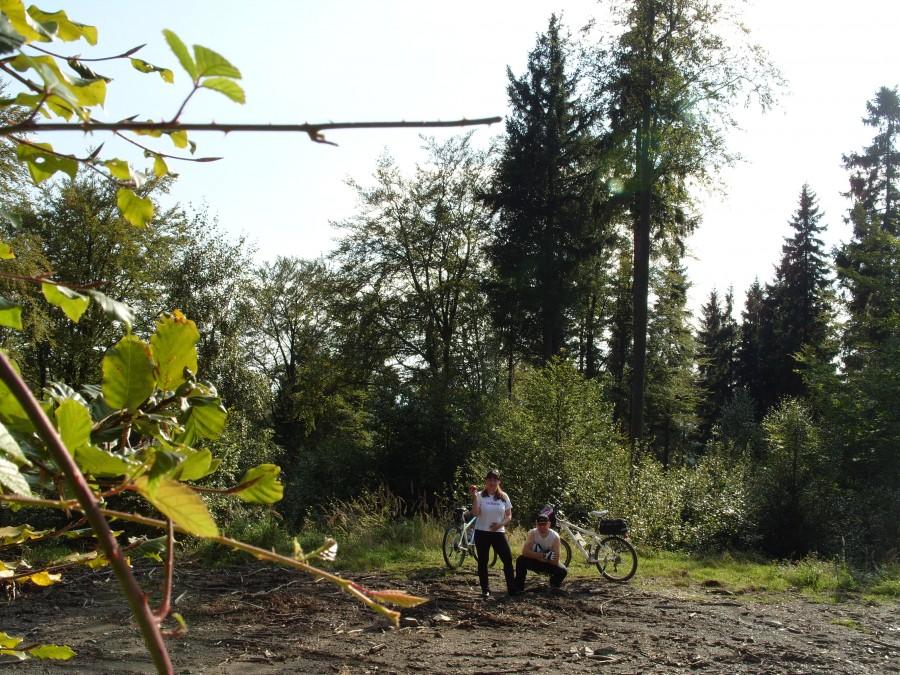 Paparazzi z ukrycia dopóki dzik nie popsuł sesji.