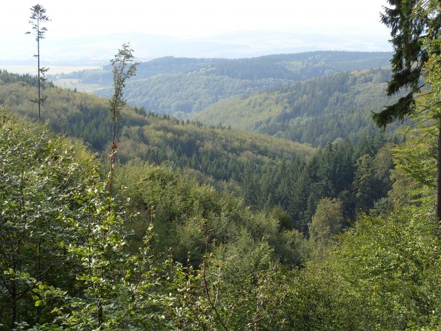 Dalsze pejzaże na dolinę w Wojciechowicach.