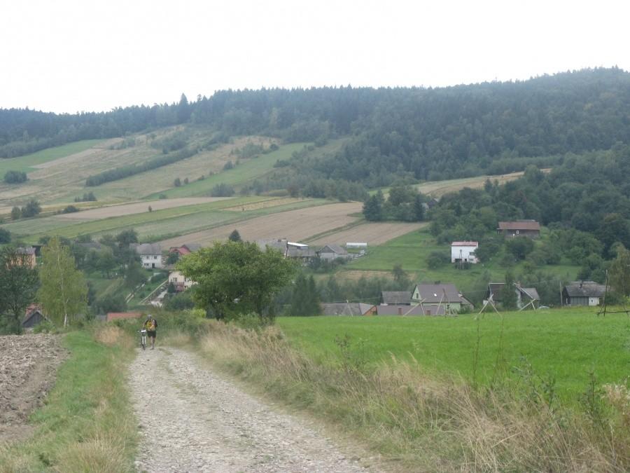 Prowadzi sie?