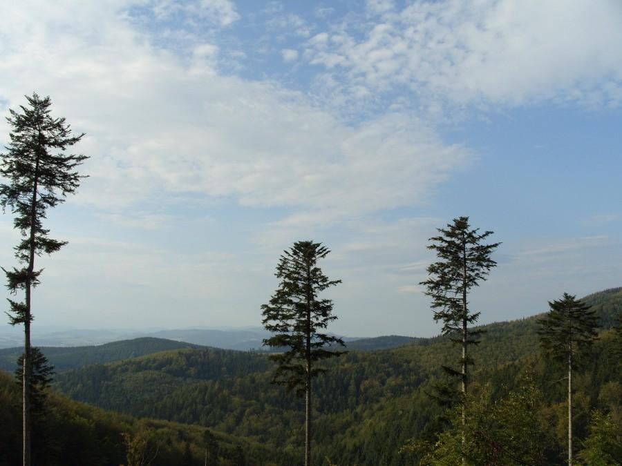 Dalszy plenerek