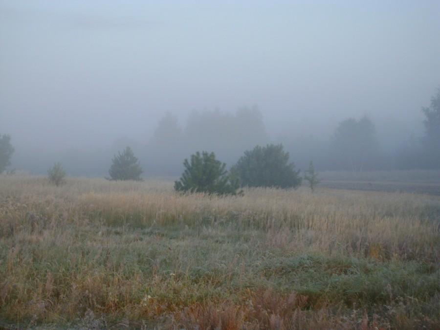 Poranek nad Wisłą