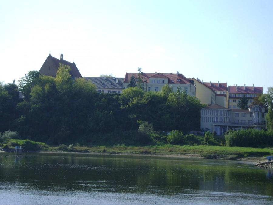 Widok na Zawichost z nad Wisły