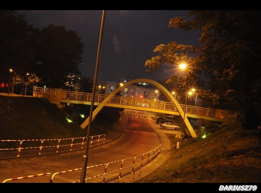 Dąbrowa Górnicza kładka piesza w parku hallera