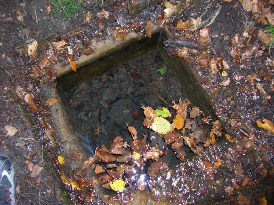 Las Miechowicki