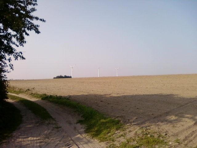 Wiatraki w Bechcicach