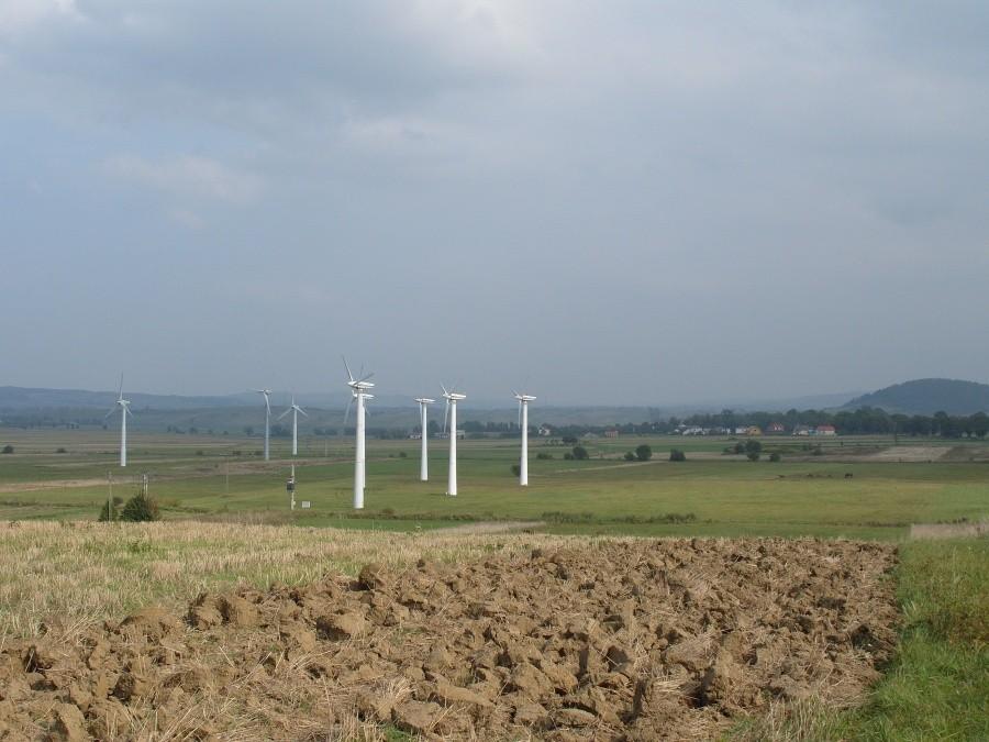 wiatraczki kręcą aż miło