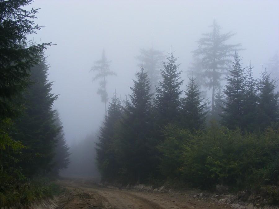 Mroczny podjazd na Grochowiczną