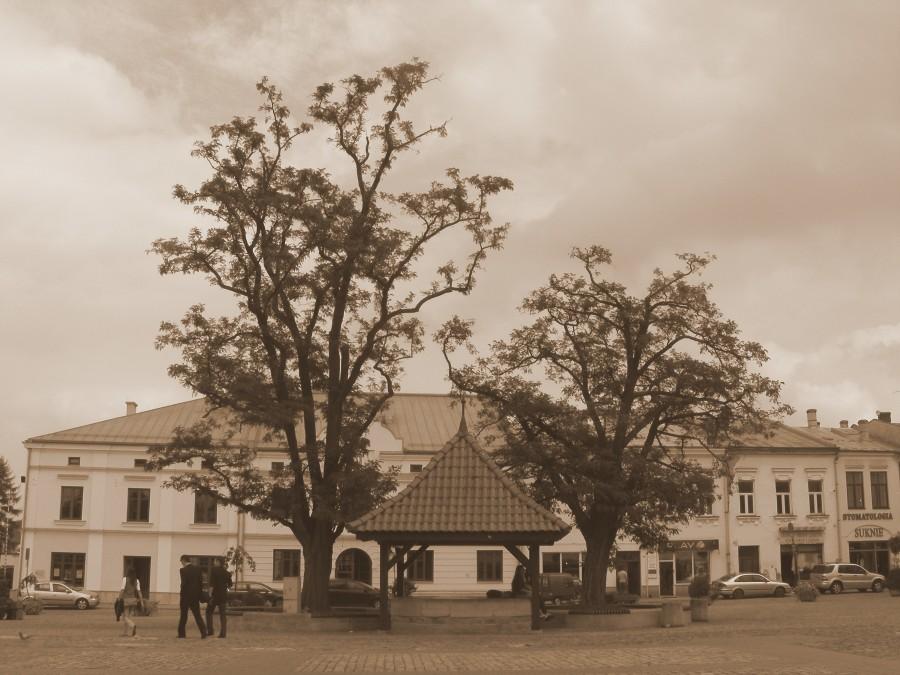 Na rynku w Krośnie