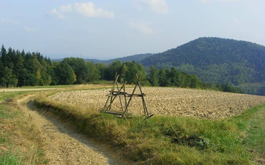 Gdzieś wśród górek..