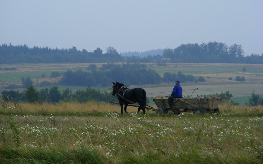 Prawie jak w Rumunii;)