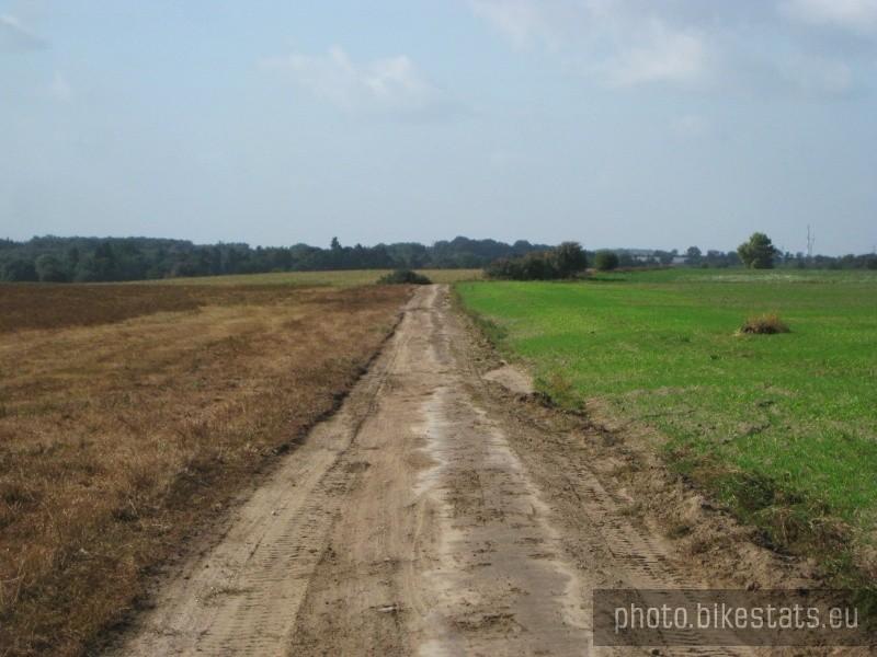 Między polami.