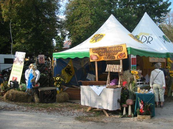 co tylko brzuszek zapragnie