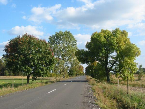 na niebieskim szlaku rowerowym