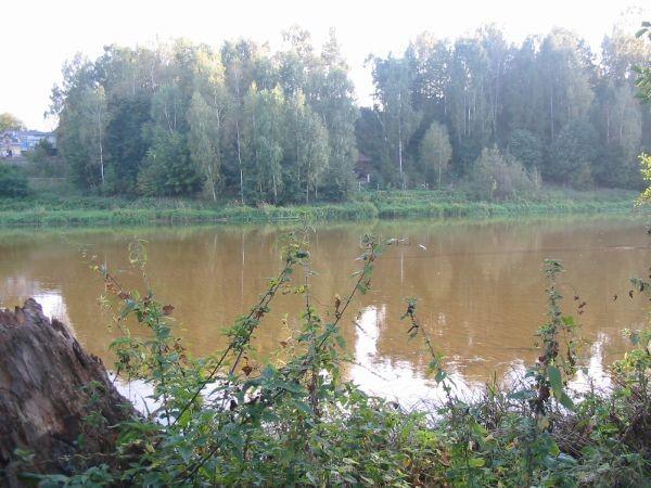 Pilica w Inowłodzu