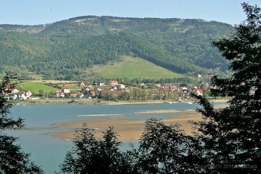 niewiele widać zza drzew