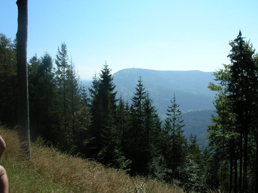 Tam jedziemy