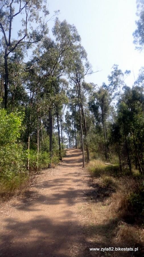 Brisbane Forest Park