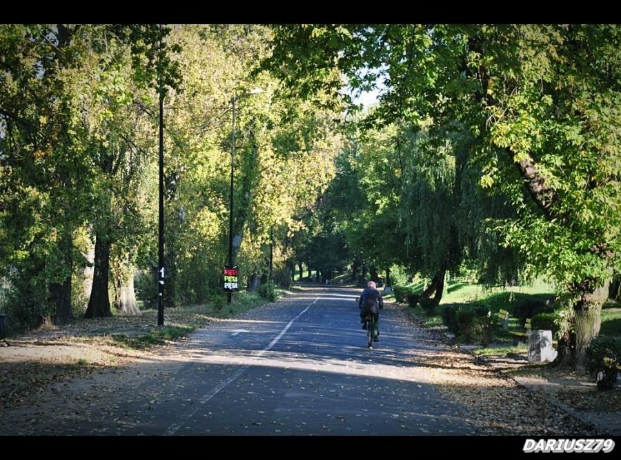 Sosnowiec - Stawiki