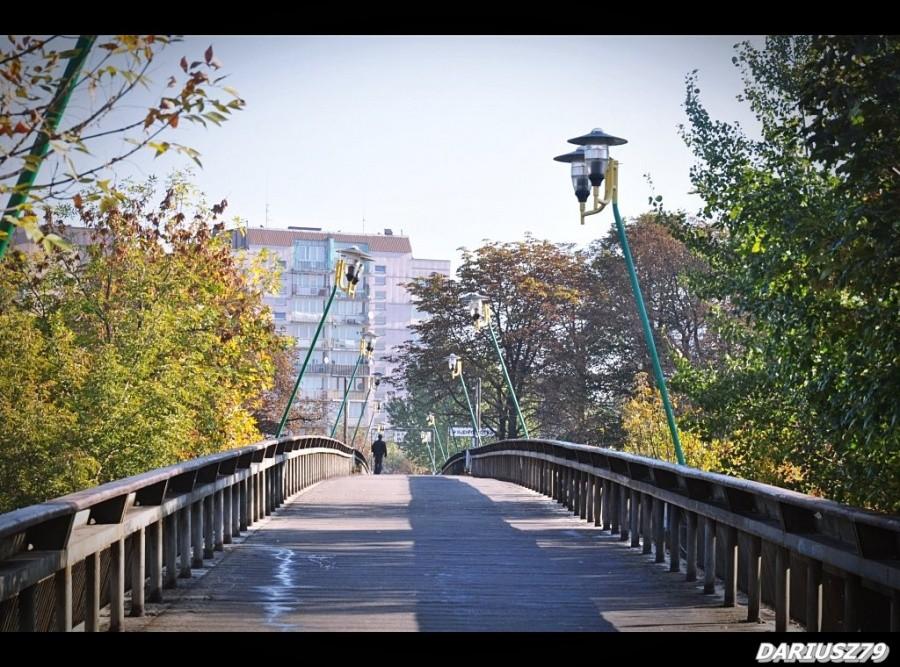 Sosnowiec - Naftowa