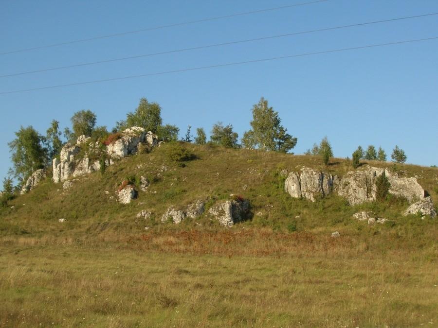wapienne skałki jurowe