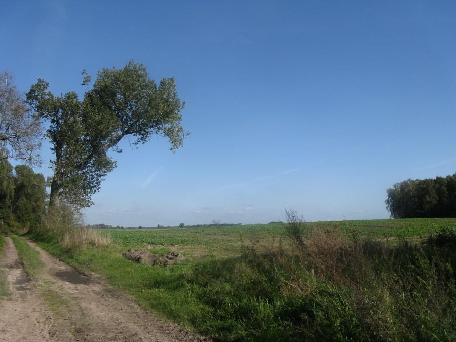 Widoczek na Jesiennych Trudach