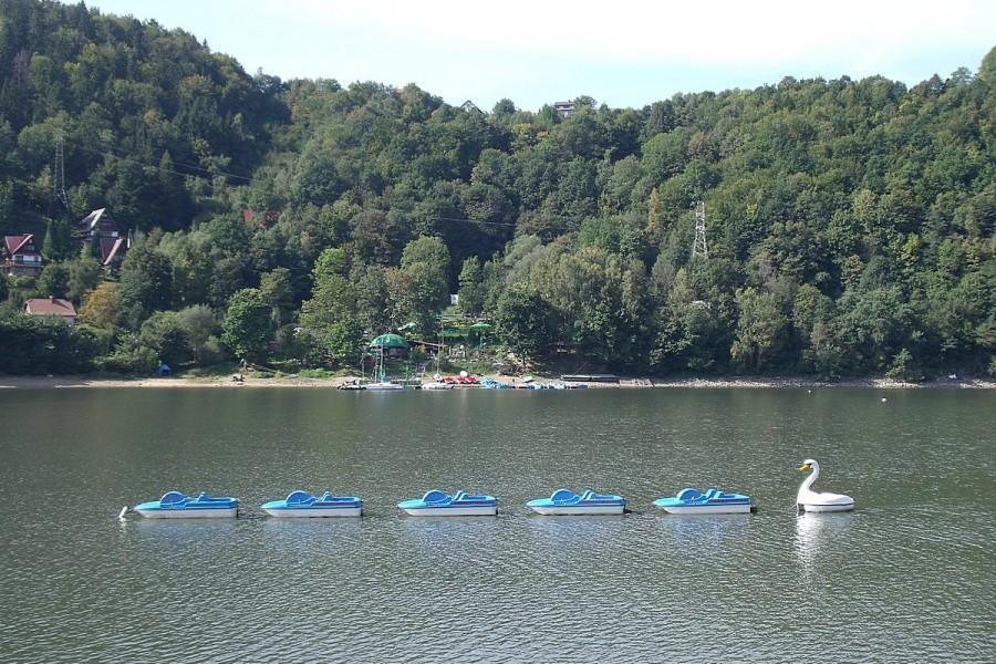 Nowy łabądek