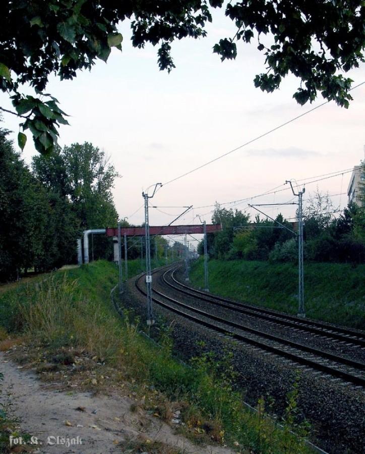 Linia radomska (5)