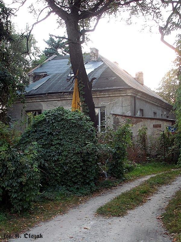 Dom wśród drzew