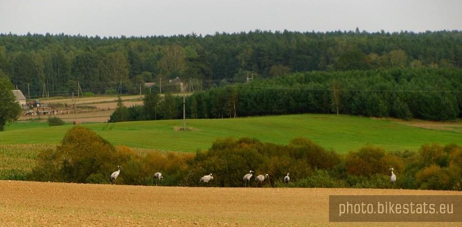 Piękny widoczek.