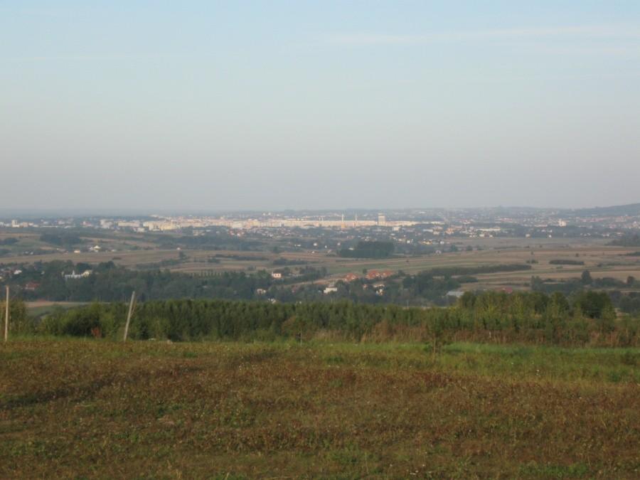 Rzeszów z Niechobrza.