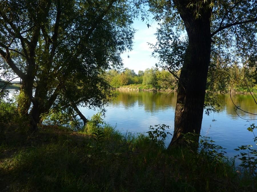 Wisła w okolicach Śladowa
