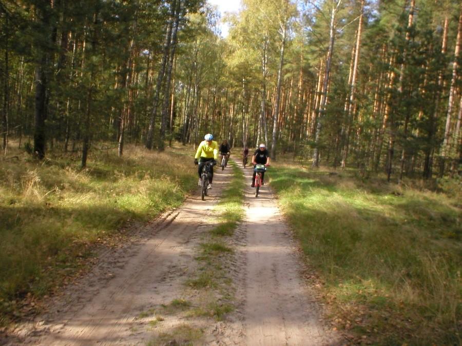 NA SZLAKU PARTYZANTÓW AK