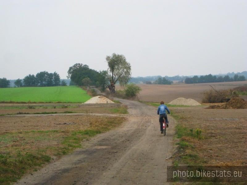 Droga polna Sarbinowo - Uzarzewo.