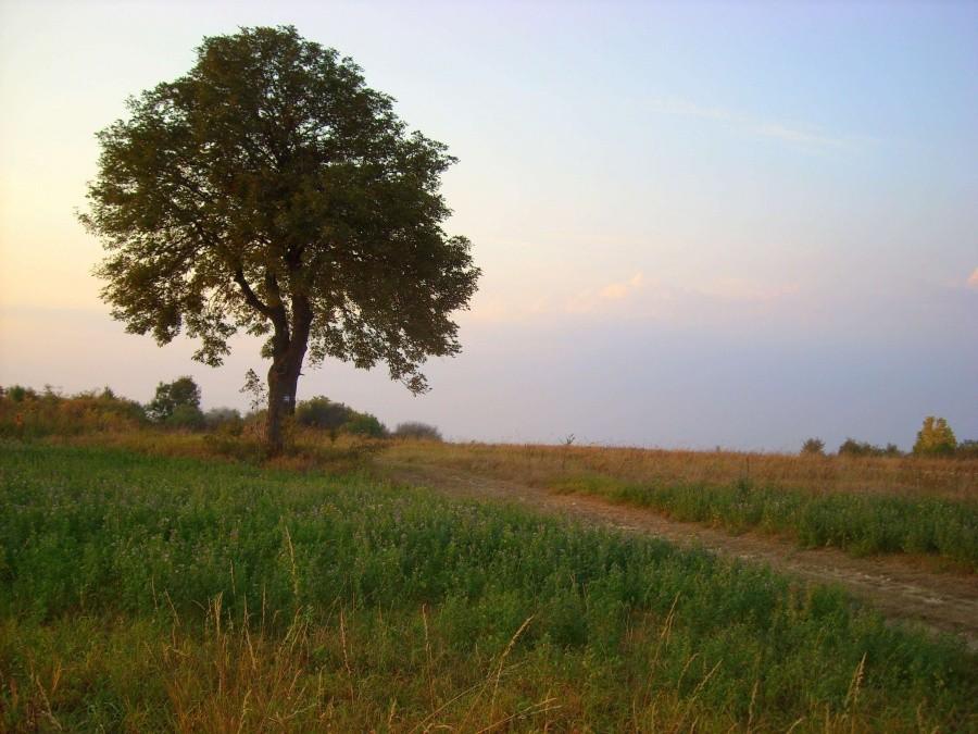 Sielankowy widoczek w Małusach