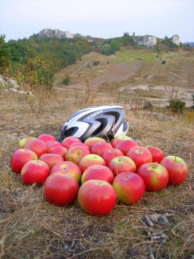 Dzisiejszy "plon" ;)