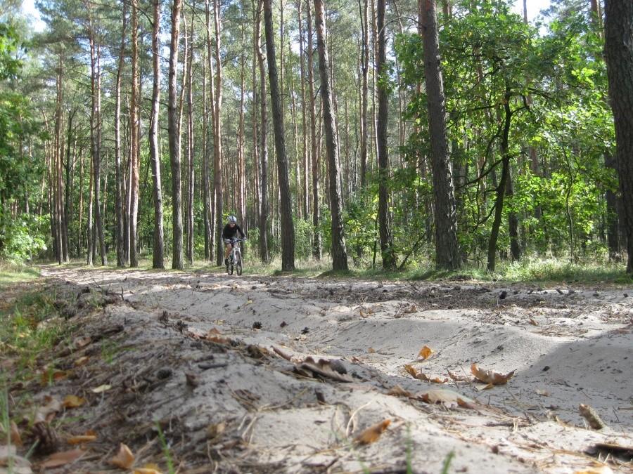 Skoro Mazowsze to dziwne by było jak by to piacu nie było :)