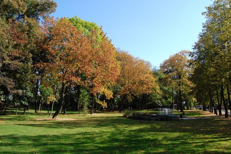 Park w Młochowie