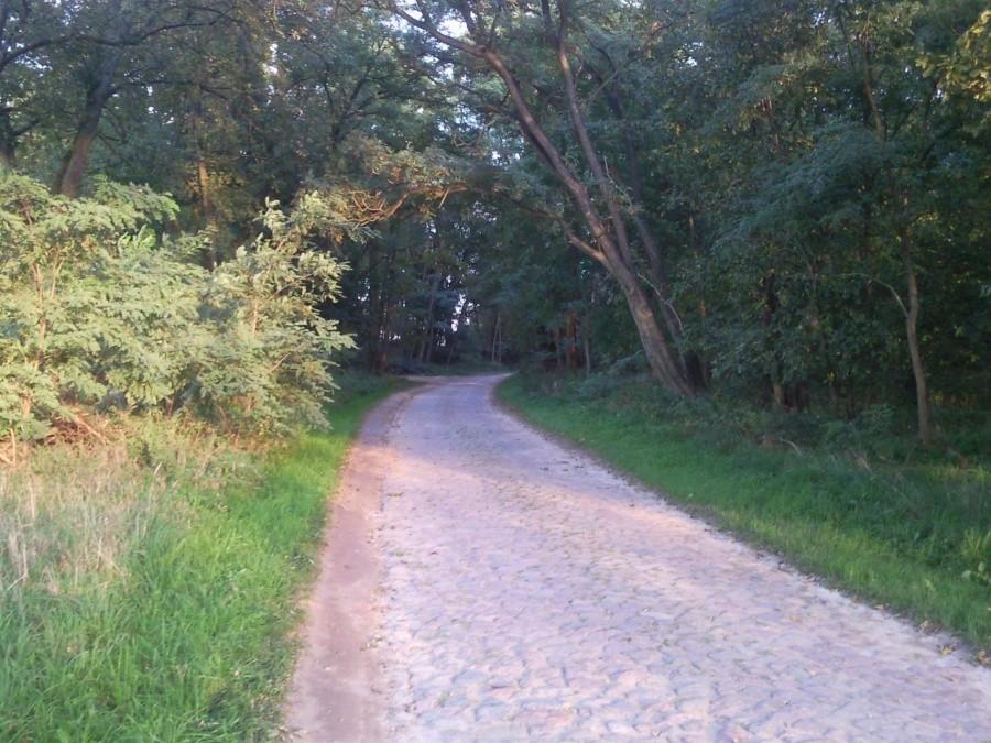 Kostka brukowa w kierunku Polski