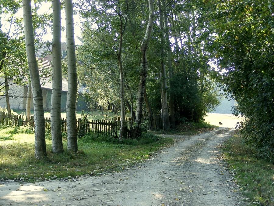 Wiejskie ścieżki