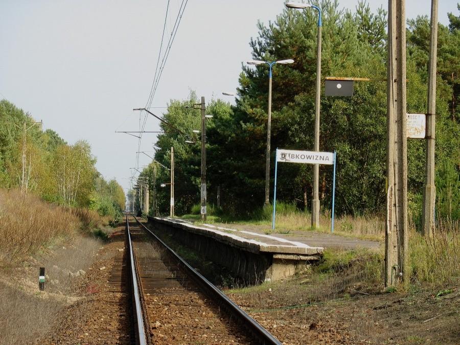 Przystanek kolejowy Dąbkowizna