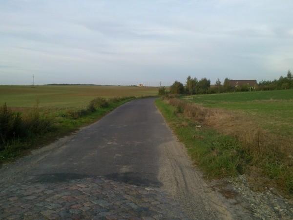 Asfalt wita