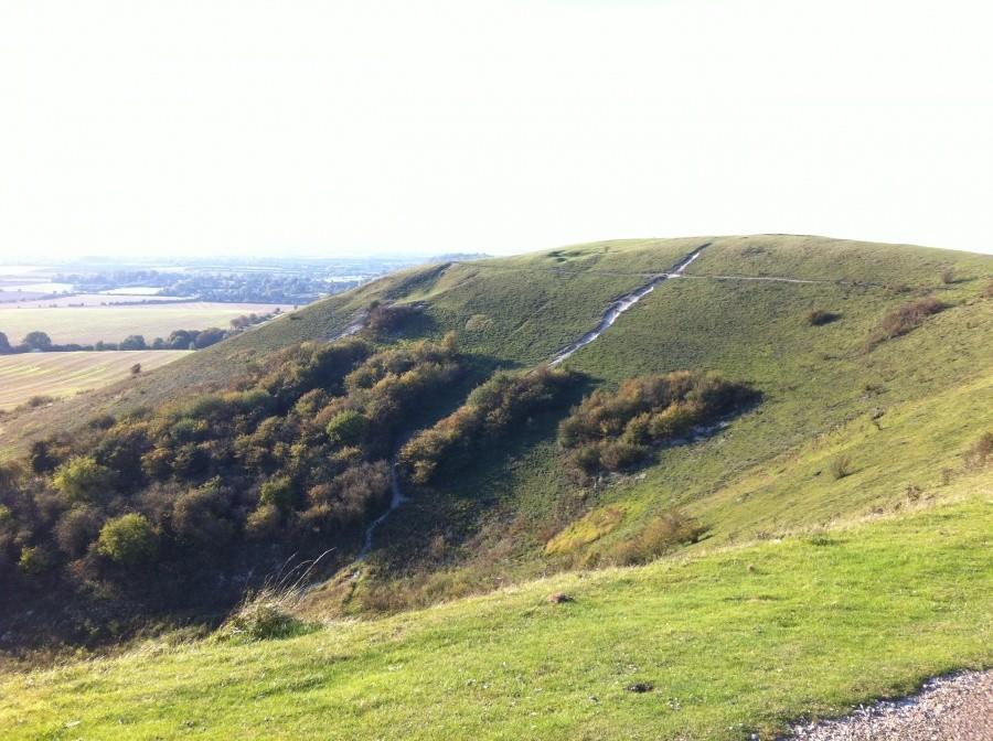Dunstable Down